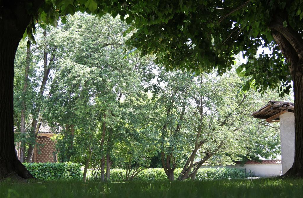 Tenuta Ajrale Vigone Zewnętrze zdjęcie